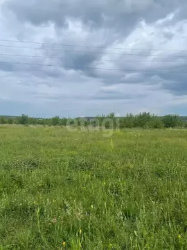 Участок в Воронежская область, Семилукский район, Губаревское с/пос, ...
