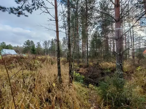 Участок в Московская область, Клин городской округ, Лесник СНТ  (8.0 ...