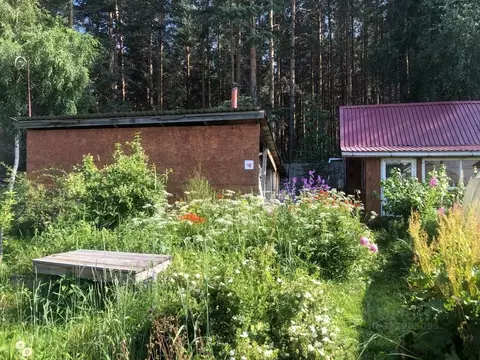 Участок в Свердловская область, Екатеринбург Луч СНТ, 21 (7.0 сот.)