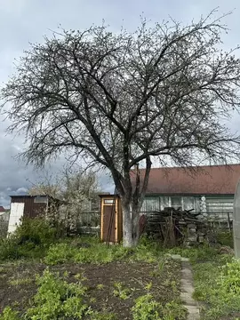 Участок в Нижегородская область, Саров Красная Звезда СТ, 3-й уч,  ...