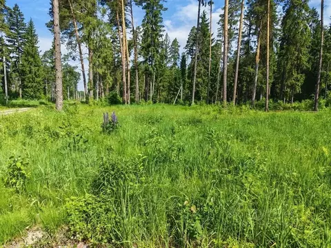 Участок в Московская область, Черноголовка городской округ, с. ...