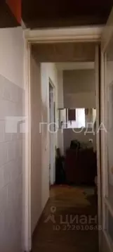 2-к кв. Алтайский край, Барнаул Интернациональная ул., 225 (45.0 м)