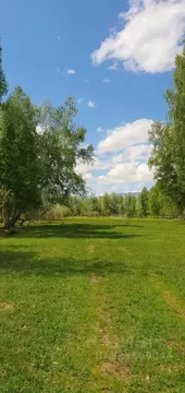 Участок в Алтай, Усть-Коксинский район, с. Горбуново  (224.0 сот.)