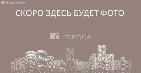 Квартира-студия: Новосибирск, улица Лобачевского, 71 (29.1 м)