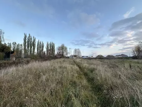 Участок в Воронежская область, Рамонский район, с. Новоживотинное ул. ...