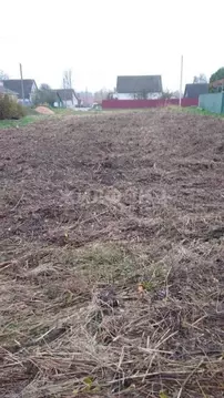 Участок в Брянская область, Почеп  (8.0 сот.)