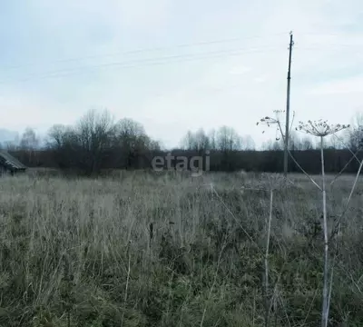 Участок в Ярославская область, Ярославль Дудкино СНТ,  (4.0 сот.)