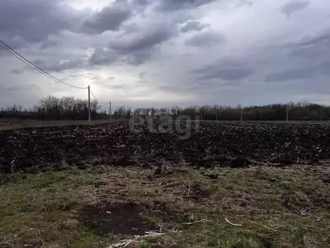 Участок в Ростовская область, Аксайский район, Щепкинское с/пос, ...