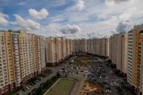1-к кв. Оренбургская область, Оренбург Транспортная ул., 16Б (33.5 м)