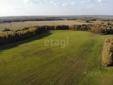 Участок в Тюменская область, Тюменский муниципальный округ, Каменское ...