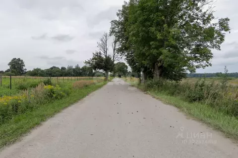 Участок в Калининградская область, Гвардейский муниципальный округ, ...