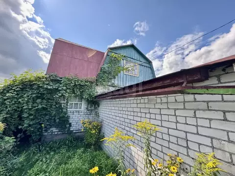 Дом в Брянская область, Брянск Большое Полпино пгт, Дачная ул. (45 м)