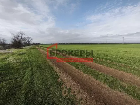 Участок в Крым, Сакский район, с. Ивановка ул. Ватан, 2А (76.0 сот.)