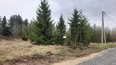 Участок в Вологодская область, Великоустюгский муниципальный округ, д. ...