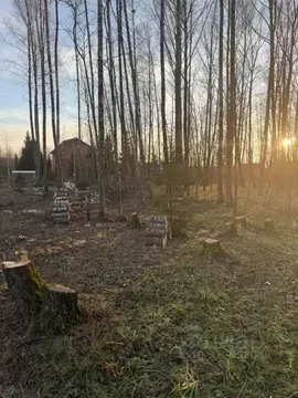 Участок в Московская область, Домодедово городской округ, д. ...