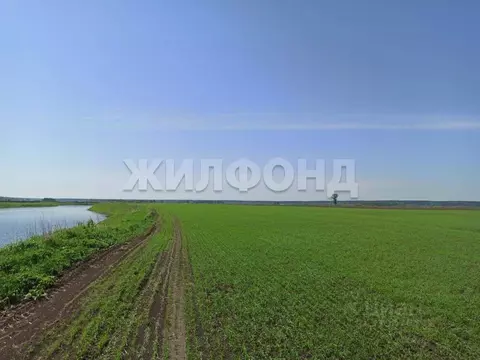 Участок в Томская область, Томск Источная ул. (2480.0 сот.)