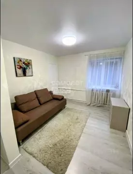 2-к кв. Московская область, Ногинск Богородский городской округ, ул. ...