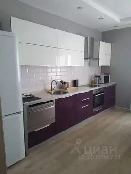 2-к кв. Оренбургская область, Оренбург Нижний проезд, 3/1 (59.0 м)