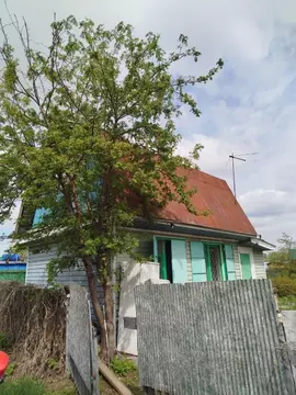 Дом в Новосибирская область, Новосибирский район, Мичуринский ...