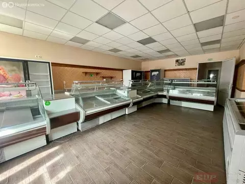 Помещение свободного назначения (4.6 м)