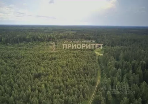 Участок в Саха (Якутия), Якутск  (3176.0 сот.)