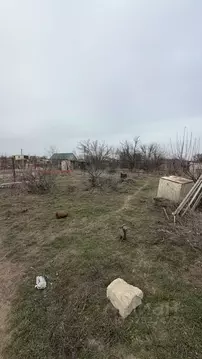 Участок в Астраханская область, Приволжский район, пос. Садовый ул. ...