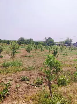 Участок в Ростовская область, Октябрьский район, Красюковская сл. ул. ...