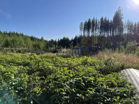 Участок в Коми, Сосногорск г. Сосногорск муниципальное образование, ...