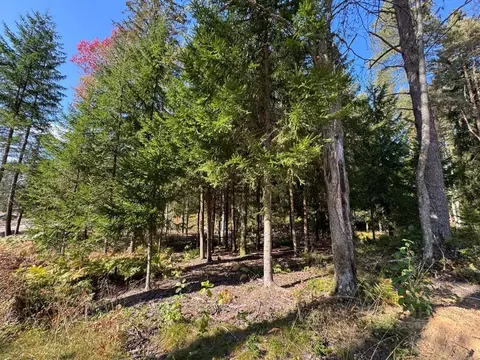 Участок в Ленинградская область, Всеволожский район, Куйвозовское ...
