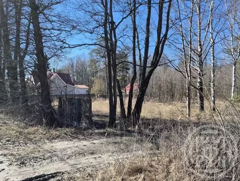 Участок в Санкт-Петербург, Санкт-Петербург, Сестрорецк Приморское ш., ...