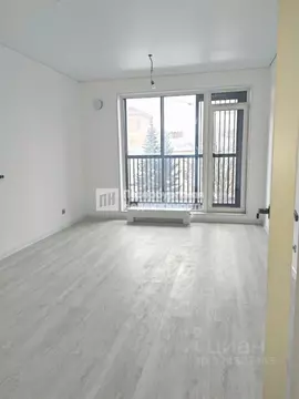 Студия Санкт-Петербург просп. Обуховской обороны, 36 (24.5 м)