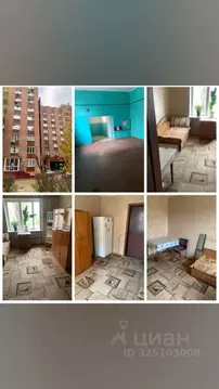 Студия Воронежская область, Воронеж ул. Хользунова, 68 (13.0 м)