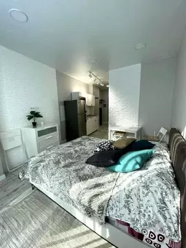 Студия Краснодарский край, Сочи Курортный просп., 59 (24.0 м)