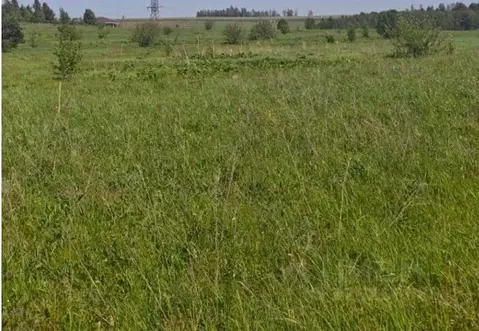 Участок в Московская область, Рузский муниципальный округ, д. Орешки  ...