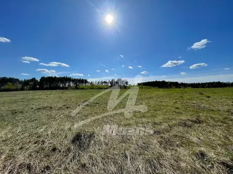 Участок в Владимирская область, Киржачский муниципальный округ, с. ...