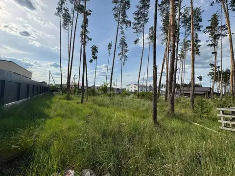 Участок в Воронежская область, Рамонский район, Новоживотинновское ...