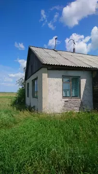 Помещение свободного назначения в Курганская область, Кетовский ...