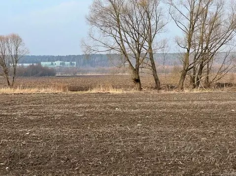 Участок в Московская область, Кашира городской округ, пос. Большое ...