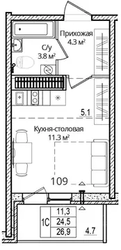 Студия Псковская область, Псковский район, Завеличенская волость, д. ...