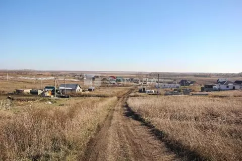 Участок в Алтайский край, Барнаул городской округ, пос. Центральный ...