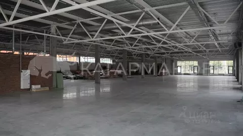 Помещение свободного назначения в Новосибирская область, Новосибирск ...