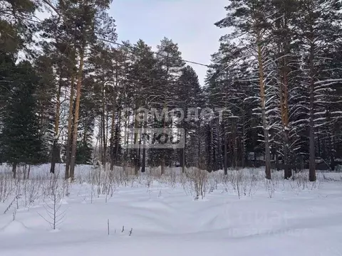 Участок в Томская область, Томский район, Богашевское с/пос, Нефтяник ...