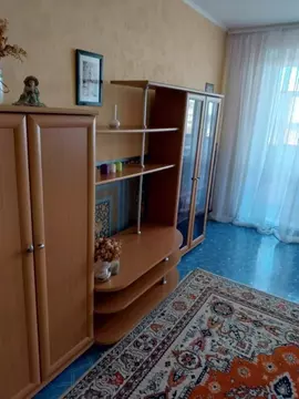 2-к кв. Оренбургская область, Орск Новый город мкр, ул. Юлиуса Фучика, ...