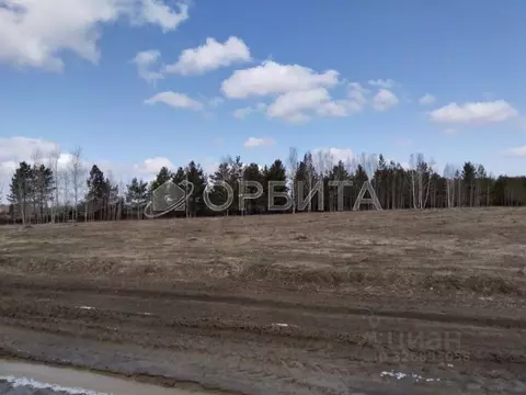 Участок в Тюменская область, Нижнетавдинский муниципальный округ, пос. ...