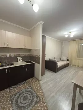 Студия Ленинградская область, Мурино Всеволожский район, бул. ...