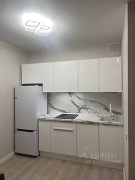 Студия Московская область, Красногорск ул. Тенистых Аллей, 1к1 (27.0 ...