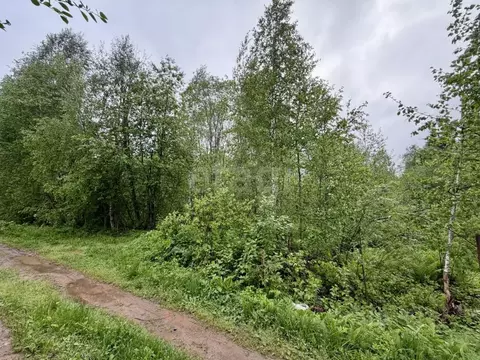 Участок в Коми, Сыктывдинский муниципальный район, Выльгорт ...