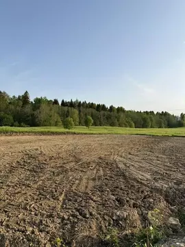 Участок в Ленинградская область, Ломоносовский район, Лопухинское ...