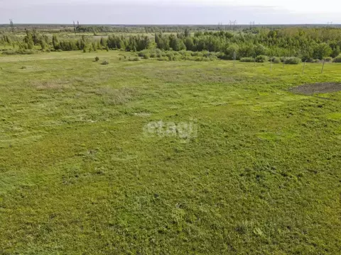 Участок в Тюменская область, Тюменский муниципальный округ, с. Борки  ...