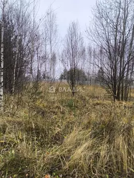 Участок в Нижегородская область, Нижний Новгород 2-я стройка СНТ,  ...